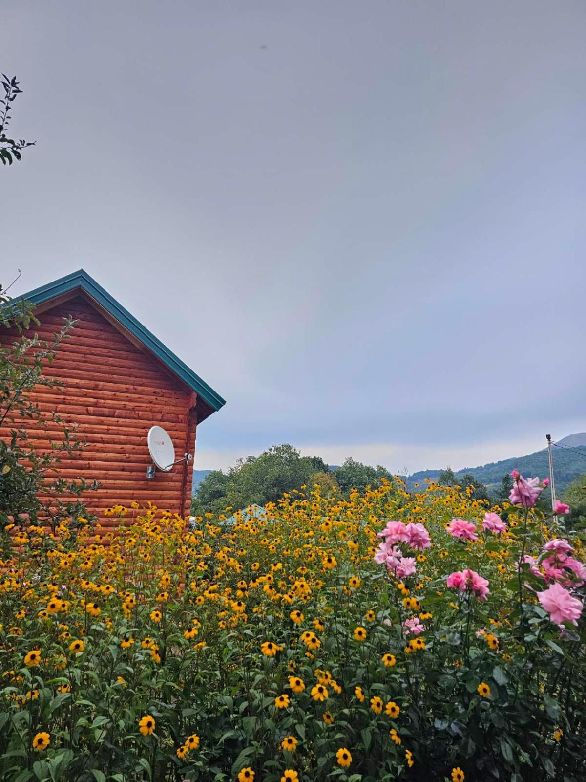 Konaci Oceva Zemlja Bungalovi Konaci Oceva Zemlja Vikendica モイコヴァツ エクステリア 写真