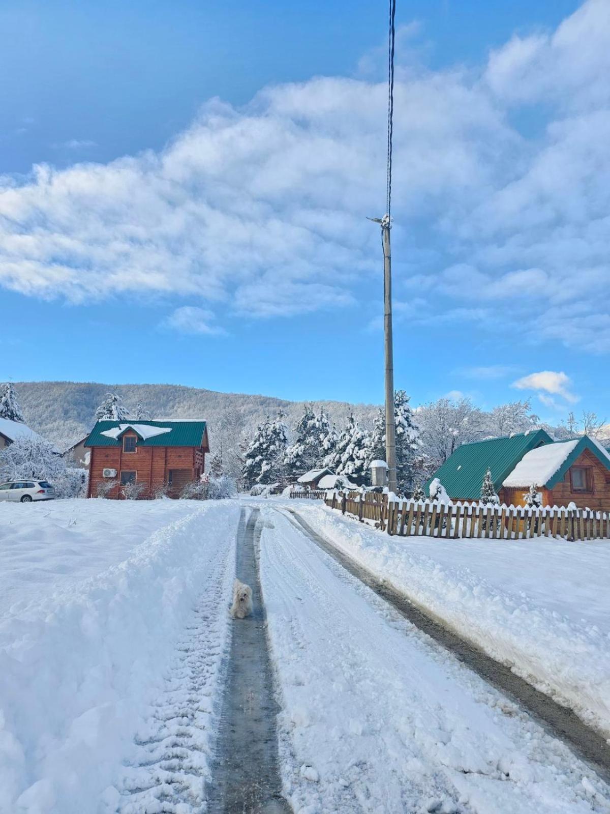 Konaci Oceva Zemlja Bungalovi Konaci Oceva Zemlja Vikendica モイコヴァツ エクステリア 写真