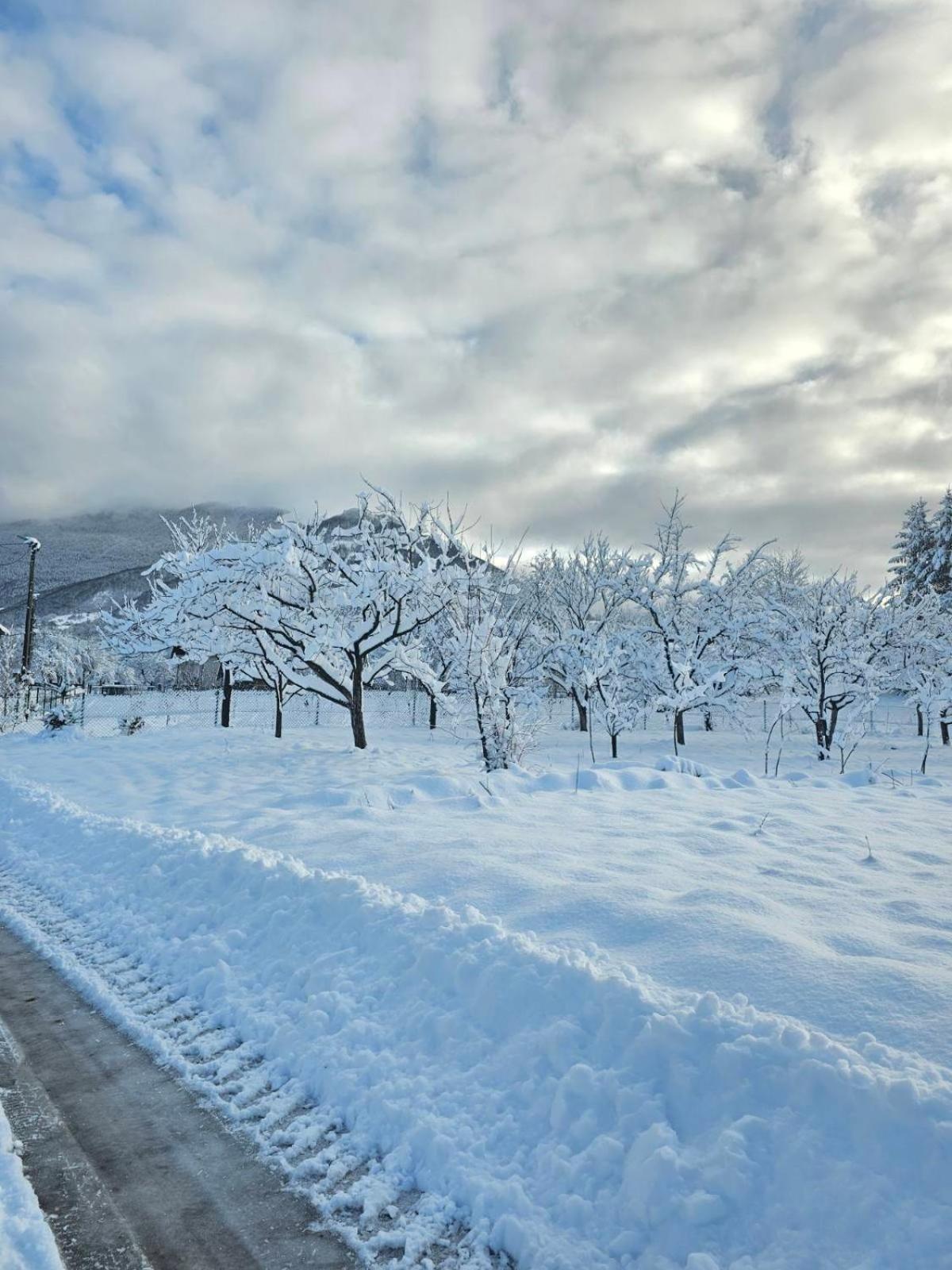 Konaci Oceva Zemlja Bungalovi Konaci Oceva Zemlja Vikendica モイコヴァツ エクステリア 写真